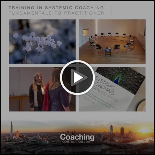 #systemiccoaching #coaching #coachingconstellations #stanceprinciplespractices | Coaching Constellations