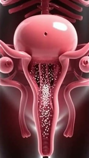 A great competitive journey of your sperm ¦¦Human Fertilization in short vedios #medical#3danimation