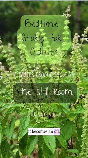 Episode 24: The Still Room – An Adult Bedtime Story for Anxiety & Sleep