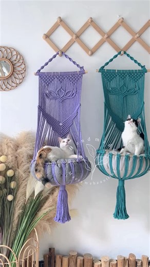 Emma Yang on Instagram: "Soft sunlight, gentle sway, and very happy cats ☀🐱 This handmade macrame cat hammock has become her favorite cozy corner — a perfect blend of comfort, beauty, and love. 💛 Every knot is crafted by hand to create a peaceful little retreat where she can nap, dream, and watch the world go by. Because our cats deserve something as special as they are. 🐾✨ Would your cat enjoy a hammock like this? 💭 🌟 Check the link in bio or DM to inquire for more details! 🌟 . . . #macra