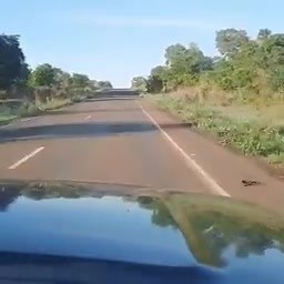 491K views · 19K reactions | Eita música que fere Acaba não mundao Vamos se bora Ótimo domingo | Forronejo | Facebook