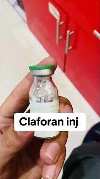 Claforan injection - Dose and sideffects - uses of claforan antibiotic - cefotaxime antibiotic