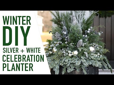 How to Make a Winter Planter ~ Silver & White Celebration 🎄 || West Coast Gardens