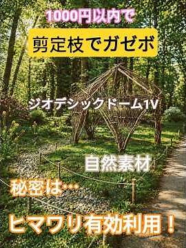 diy自作『剪定枝でガゼボ』屋根も枝で覆いサンシェード朝顔やツル植物で全体緑化し畑仕事やガーデニングの休憩所としてティータイムを楽しもう！1000円以内の格安製作自然素材でジオデシックドーム1v
