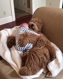 visual of our ideal nap time 😴 | GIPHY Cute