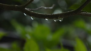 Download Slow motion, rain, raindrops background for free