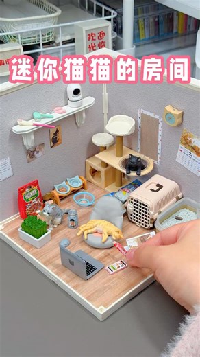 KOKO的玩具市场 on Instagram: "ASMR Miniature: Crafting a Cozy Tiny Room for Kitty🐱 沉浸式布置🌿迷你猫猫的房间 #asmr #miniature #toys #rement #satisfying"