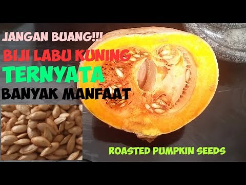 Cara Membuat Kwaci Biji Labu Kuning | How To Make Roasted Pumpkin Seeds | Zat Dalam Biji Labu Kuning