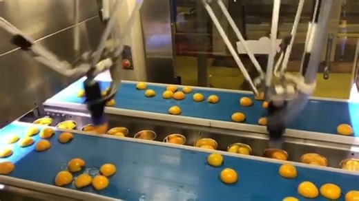 The end effector of these robots uses vacuum grippers from Gripwiq. The vacuum suction gripper systems by Gripwiq are soft, food-grade, and efficient under high-speed applications. What do you think of this technology? Let us know in the comments! Image/video credits: Gripwiq We strive to get permission for each piece of content we share, and give credits to the rightful owner. If you feel this is not the case, please send us a DM so we can correct this #automation #food #robotics #engineering #