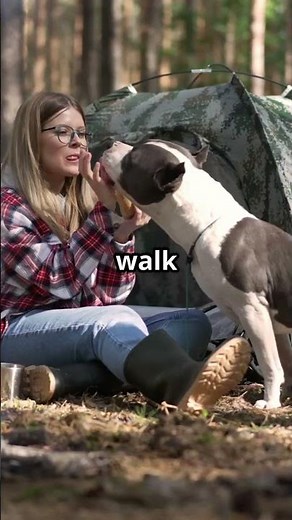 Dog vs Horse: The Ultimate Best Friend Showdown!