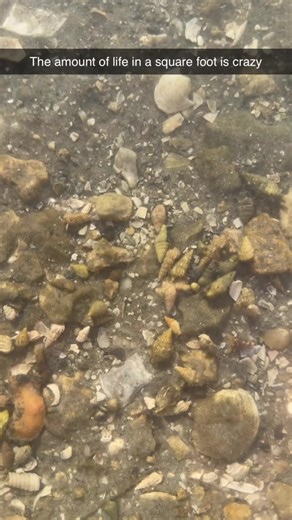 Beach Adventures in Jupiter, FL