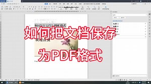 如何把文档保存为PDF格式