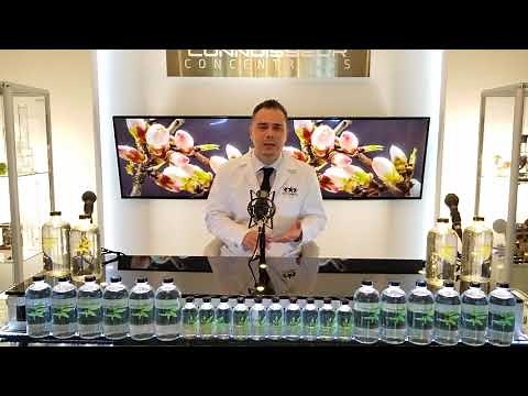 Do Terpenes Get You High?- The Terpene Institute