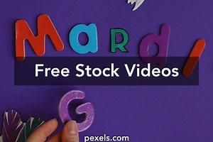 Vector Live Videos, Download The BEST Free 4k Stock Video Footage & Vector Live HD Video Clips