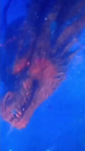 #strangerthings 5 dragon 3 head s