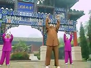 Five Animals Play Qigong (Wuqinxi)
