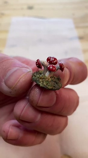 MUSHROOMS! #craftingeek #crafttok #fantasy #art #craft #modelbuilding #arttok #artist #dungeonsanddragons #dandd