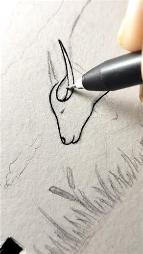 Buffalo drawing #buffalo #art #sketch #drawing #shorts