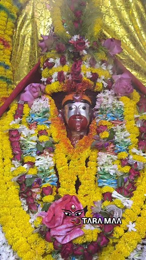 DΛRՏHΛN»28-05-25 . . . #taramaa #kali #maa #mahakali #tarapithtemple🌺 | TARA MAA