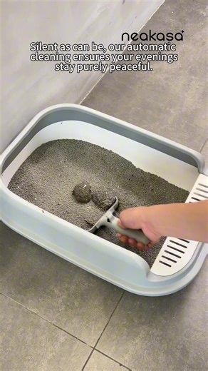 @Neakasa Kickstart your day with a touch, our fully automatic litter box makes American leisure happen right from dawn& top entry litter box #neakasa #NeakasaM1 #CatLitterBox #SmartLitterBox #OpenTopLitterBox