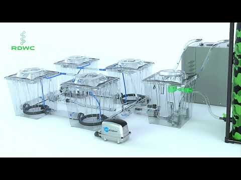 ALIEN® RDWC PRO Silver. Recirculation in Operation.