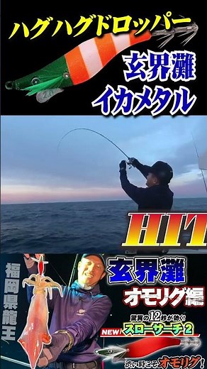 【玄界灘】ハグハグドロッパー炸裂！ビタ止まりアクションで抱かす玄界灘イカメタル！ #釣り #fishing #ハヤブサ #イカメタル #玄界灘