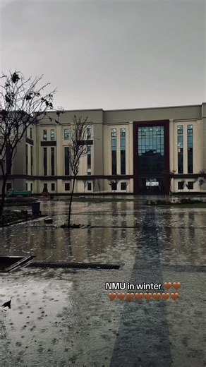 NMU in Winter: A Cozy Vibe