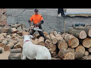 Stihl MSA 300 C with AP 500s battery.