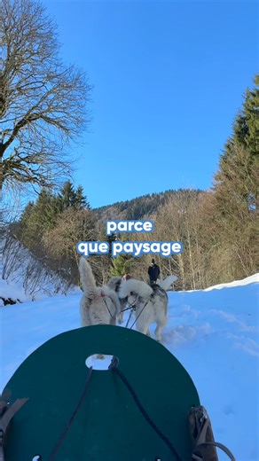 ❄️🐕 On vous emmène faire une balade en traineau dans la neige à travers des paysages somptueux 😍 N'oubliez pas les câlins et gratouilles pour votre équipage 😁 En savoir plus en cliquant ici https://tinyurl.com/ChiensTraineaux Les Alpes du Léman Traineaux passion | Auvergne-Rhône-Alpes Tourisme