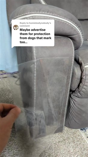 Effective Cat Scratching Solutions for Cat Lovers