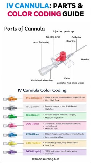 IV Cannula Parts and Color Coding Explained#IVCannula #NursingStudy #MedicalStudents
