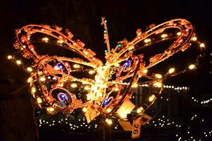 Holiday Lights Spectacular Returns to Turtle Back Zoo