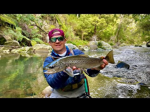 The Best Way to Start the River Season | Fly Fishing for Brown Trout | Victoria, Australia