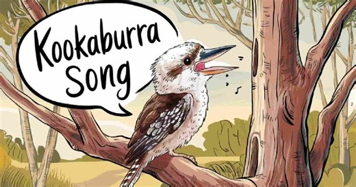 Order Up: Lyrics - Kookaburra Sits in the Old Gum Tree