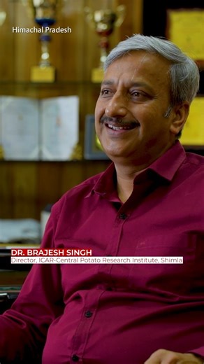 Aeroponics are changing the way of potato farming. Aeroponics is the practice of growing plants in an air or mist environment without the use of any substrate. That is, the plant roots are suspended in the air and are misted or sprayed periodically with a nutrient solution or aerosol of nutrient solution. Watch full Video for complete information about potato farming- Link in Story/Highlights #potatofarming #Aeroponics #agriculture #ICAR #farming #vegetablefarming #shimla @CPRI | News Potli