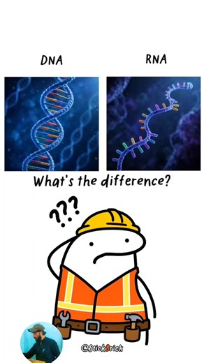 DNA and RNA: What is the difference? #education #learnenglish #learnsomethingnew #DidYouKnow #facts