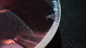 How to Clean Fungus From a Lens