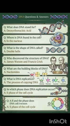 🚀 DNA Facts & Questions That Will Blow Your Mind