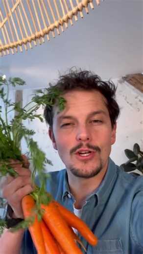 Delicious Roasted Carrots Recipe