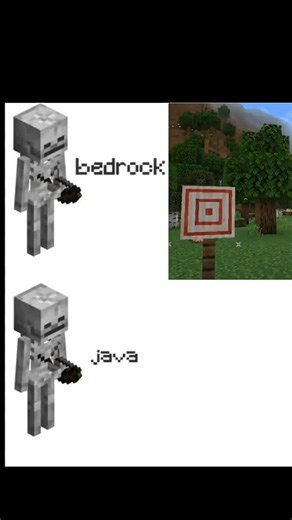 Bedrock vs Java skeleton#short