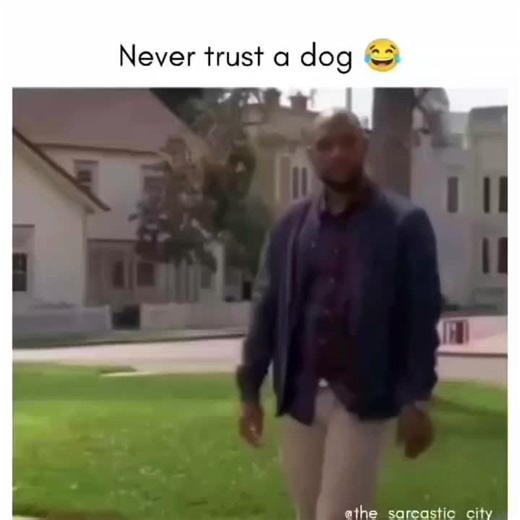 Videos de Dutch Schaeffer (@dutchschaeffer78) con “sonido original - Dutch Schaeffer”