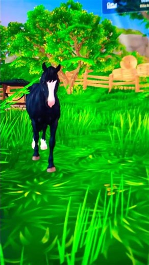 Bought 3 horses today🥹🤞🏻 #sso #fypシ #horse #new #connemara #banana #dream 😍