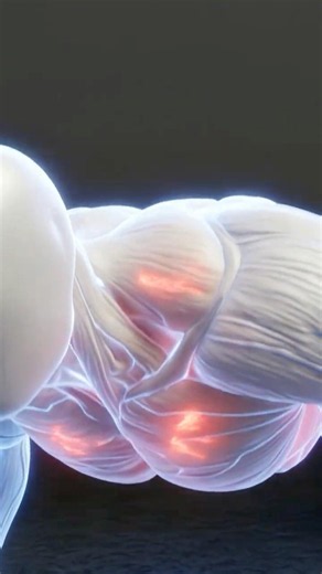 Decline Push Up Form - Most People Get This Wrong