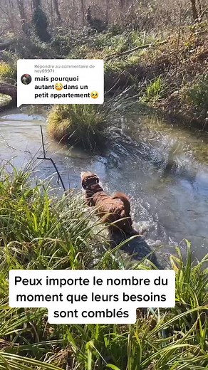 Répondre à @noy69971 si bonne dépense physique et mental il y a, tu peux vivre n’importe où ;) t’en qu’ils sont avec toi ❤️