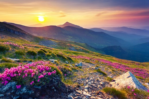 The Carpathian Mountains