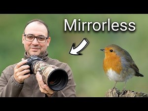 Wildlife Photography for Beginners: 5 Tips for Mirrorless