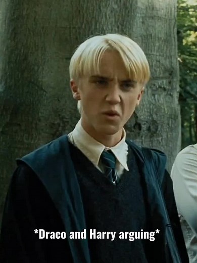 Harry and Draco's Argument: A Potter Story