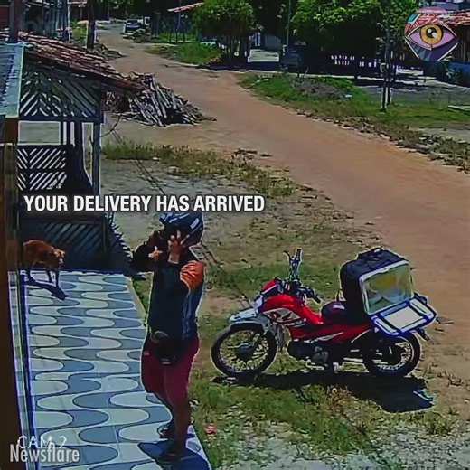 Imagine his confusion😅 | Bright Side