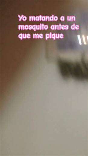 miau miau miau miau.