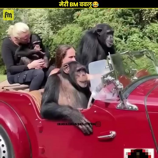 288K views · 8.9K reactions | मेरी BM बबलू 藍藍 || COMEDY VIDEO  ||...